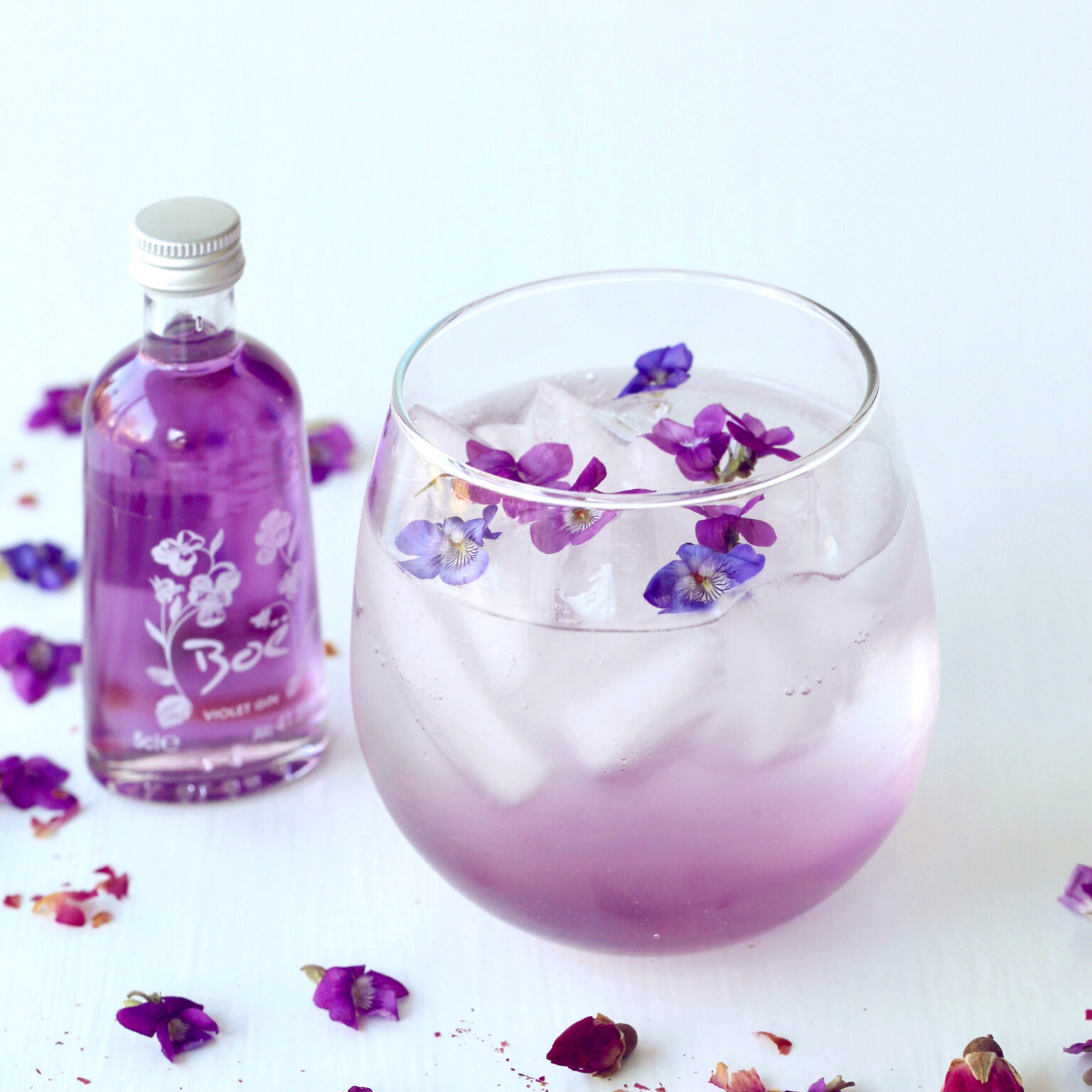 Boë Violet Gin Fizz Kathleen Phipps